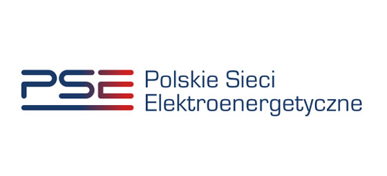 You are currently viewing PSE Polskie Sieci Elektroenergetyczne